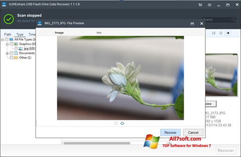 Screenshot USB Flash Drive Recovery para Windows 7