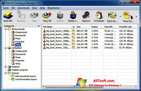 Screenshot Internet Download Manager para Windows 7