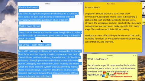 Screenshot Simple Sticky Notes para Windows 7
