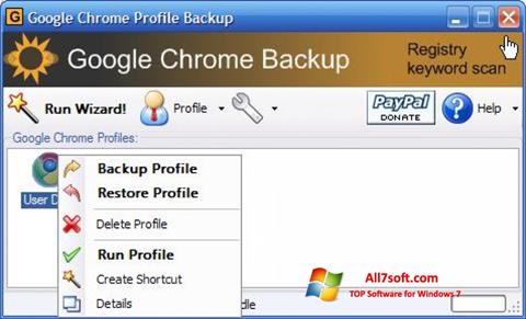 Screenshot Google Chrome Backup para Windows 7